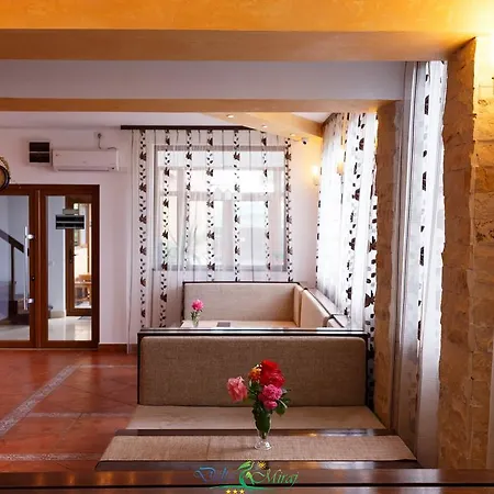 Pensionat Delta Miraj Sulina